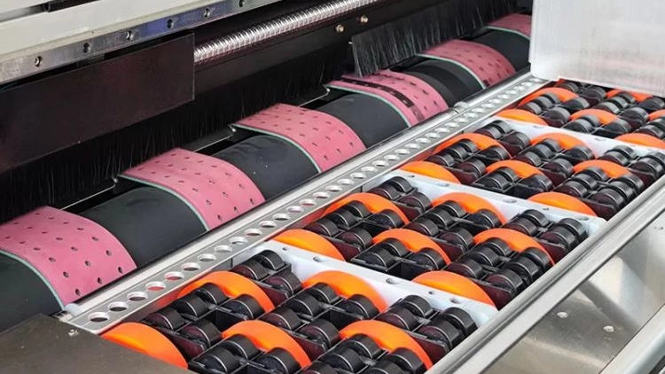 Multi Pass Printer-1